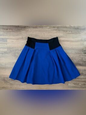 ModCloth Blue Flared/Pleated Skater Skirt